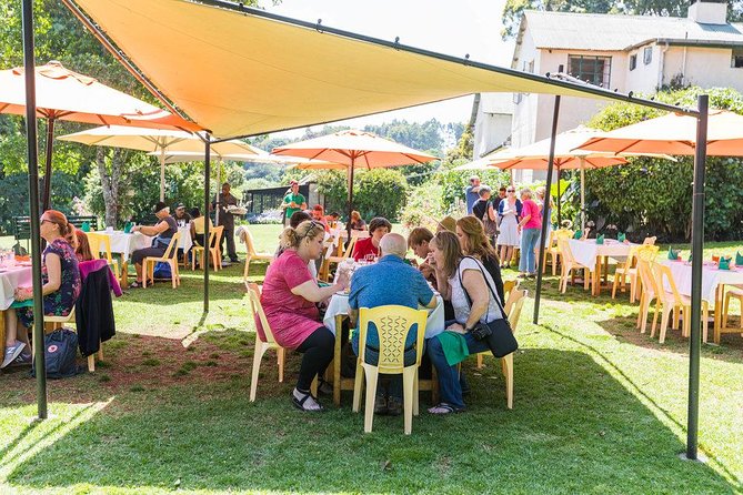 Excursion to Kiambethu Tea Farm - Door-to-door Pickup and a Small Group Day in Nairobi