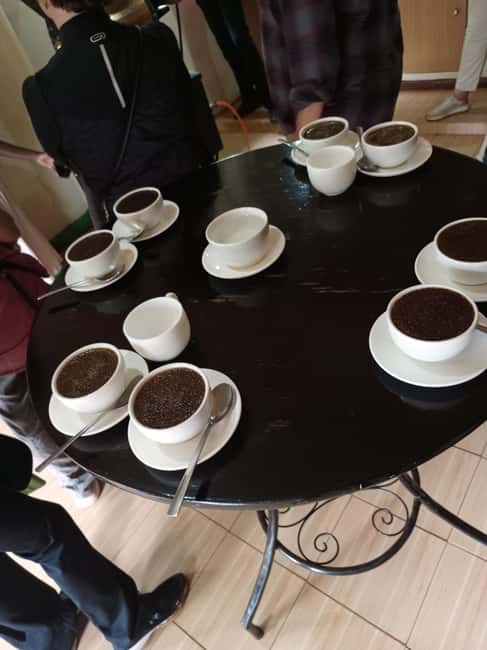 FAIRVIEW COFFEE FARM DAY TOUR - From hotel pickup to Fairview Farm: what you should expect on arrival