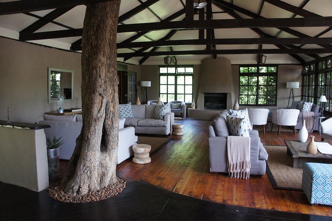 Family & Friends safari Full package . - Maasai Mara: Big-Cat Country With a Full-Day Option
