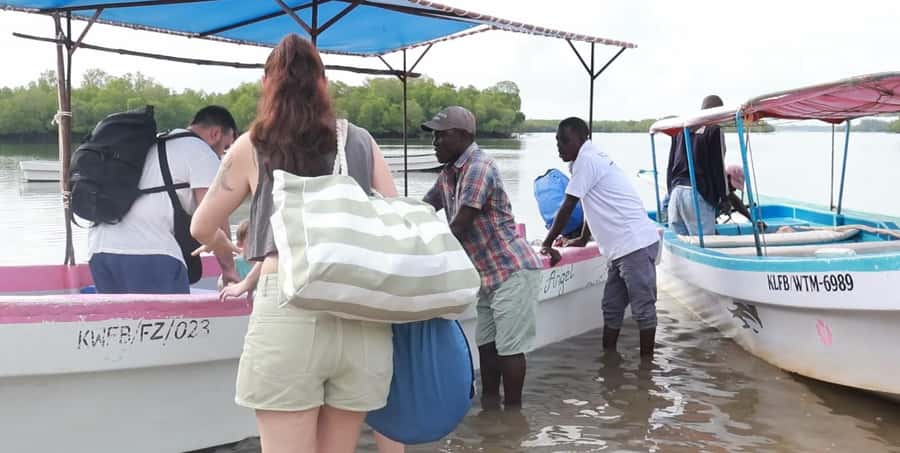From Diani Beach: Funzi Island Full Day Excursion with Lunch - Board the Ramisi canoe: birds, mangroves, and a possible crocodile moment