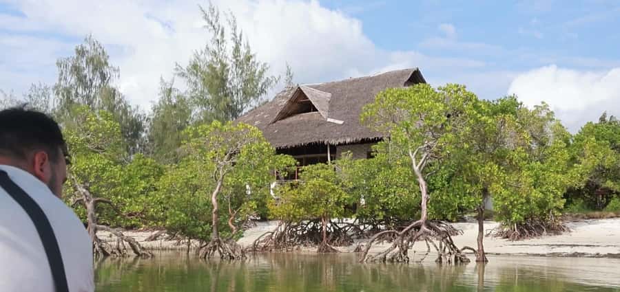 From Diani Beach: Funzi Island Full Day Excursion with Lunch - Seafood lunch details that affect your day (and how to plan for them)