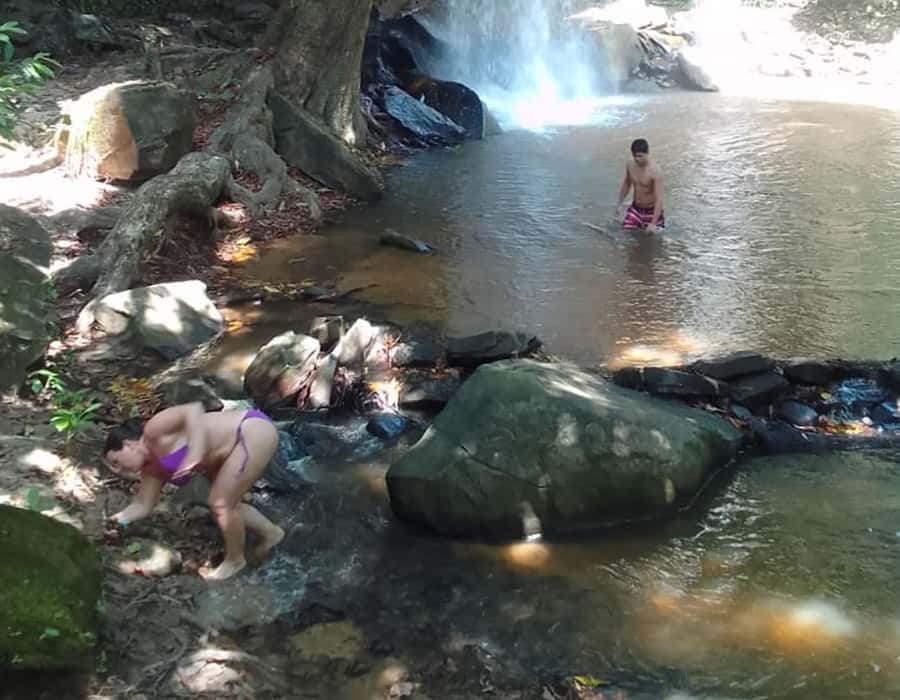 From Diani: Full Day Shimba hills tour with Sheldrick Falls - Why Shimba Hills and Sheldrick Falls are a standout Diani day trip