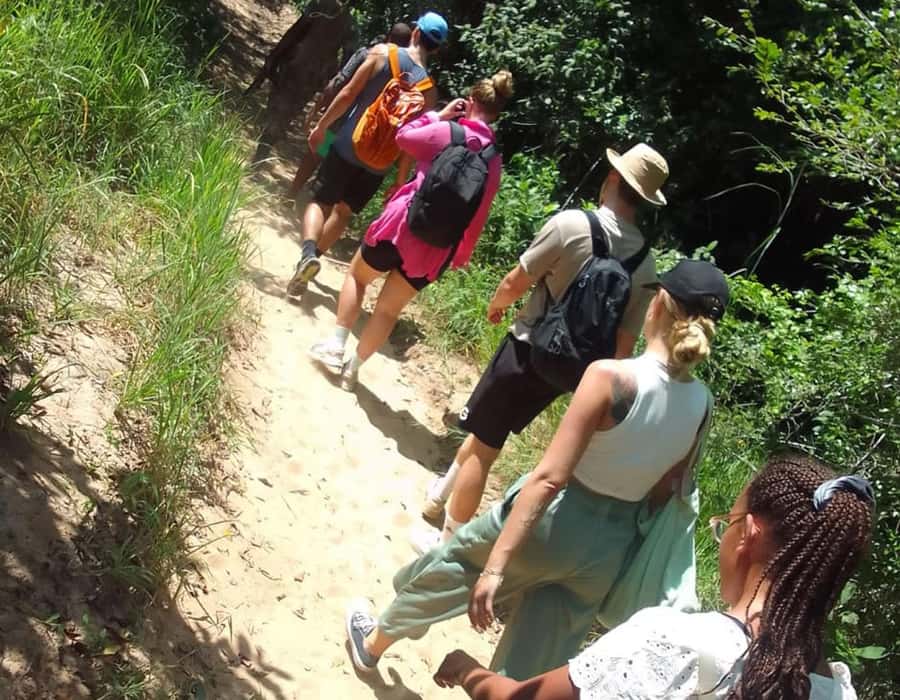 From Diani: Full Day Shimba hills tour with Sheldrick Falls - Entering Shimba Hills: the reserve that’s built for sable antelope and elephants
