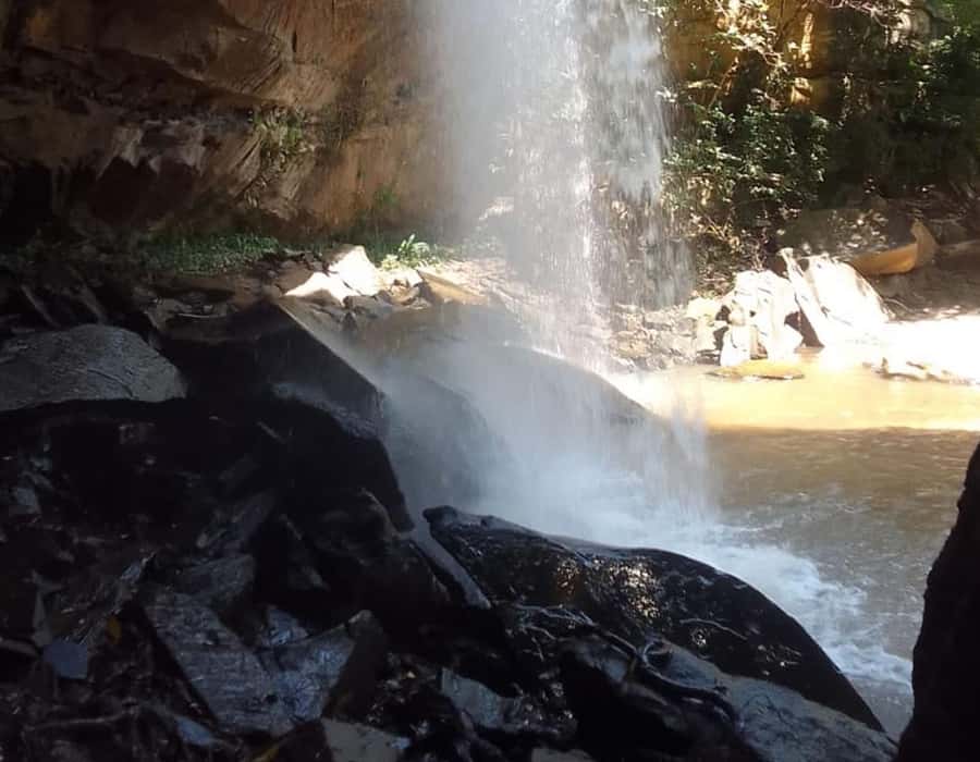 From Diani: Full Day Shimba hills tour with Sheldrick Falls - The morning game drive: the best way to spot wildlife without rushing