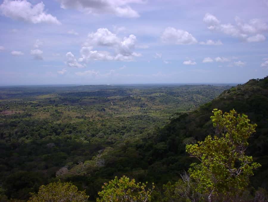 From Diani: Full Day Shimba hills tour with Sheldrick Falls - The Sheldrick Falls hike: 300+ stairs, shaded forest trails, and big payoff