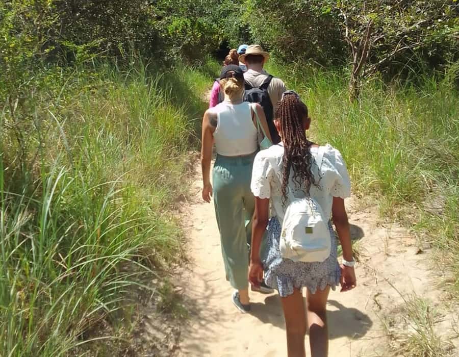 From Diani: Full Day Shimba hills tour with Sheldrick Falls - The early pickup from Diani: what matters for your comfort