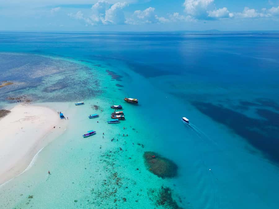 From Mombasa: Kisite Mpunguti Marine Park and Wasini Island - Should you book it? My practical take