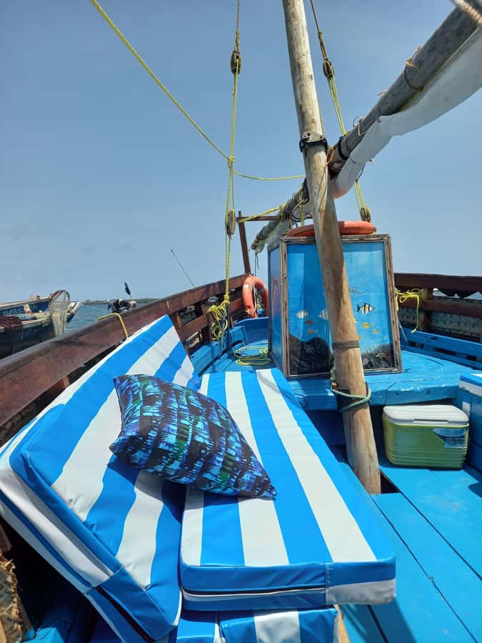 From Mombasa: Kisite Mpunguti Marine Park and Wasini Island - A morning dolphin search that actually drives the day