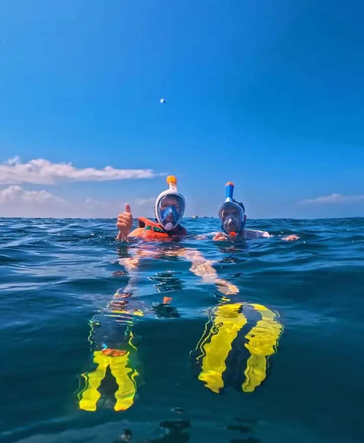 From Mombasa: Kisite Mpunguti Marine Park and Wasini Island - Kisite Mpunguti Marine Park snorkeling: what you’re really there for
