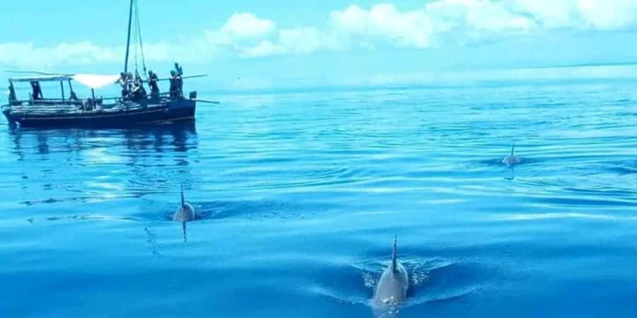 From Mombasa: Kisite Mpunguti Marine Park and Wasini Island - Who should book this Kisite and Wasini day trip
