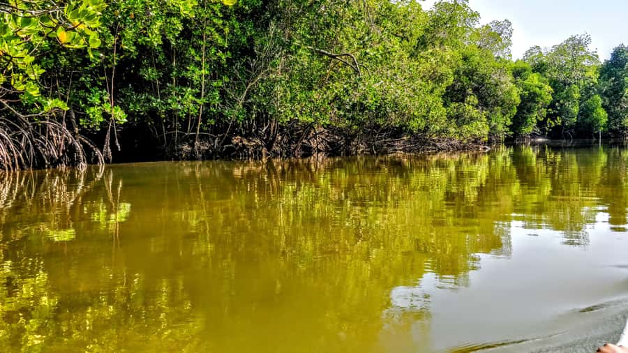 From Mombasa: Watamu Marine Park & Sudi Island Excursion - Watamu Marine Park and Sudi Island, two worlds in 7 hours