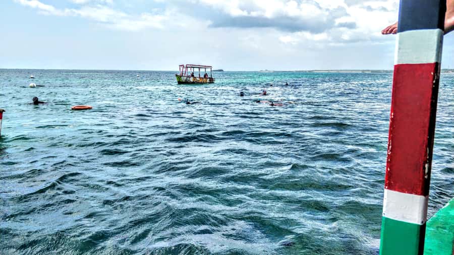 From Mombasa: Watamu Marine Park & Sudi Island Excursion - Snorkeling near Watamu reef, where you can actually see a lot