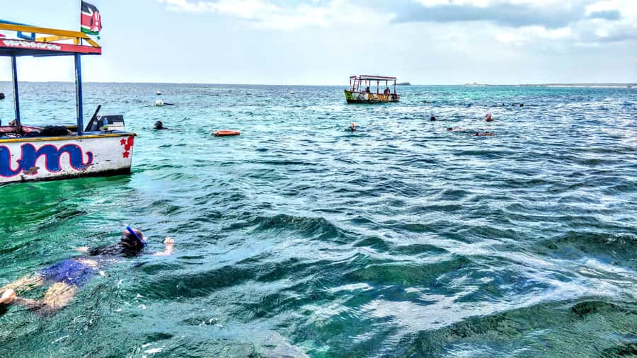 From Mombasa: Watamu Marine Park & Sudi Island Excursion - Mombasa pickup and the practical drive north