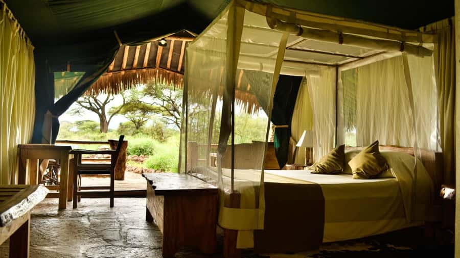 From Nairobi: 2-Day Amboseli National Park Safari - Day 2 early morning Kilimanjaro light and the elephant crossing moment