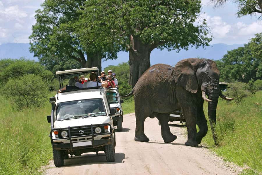 From Nairobi: 2-Day Amboseli National Park Safari - Day 1 game drive and overnight at AA Lodge or similar