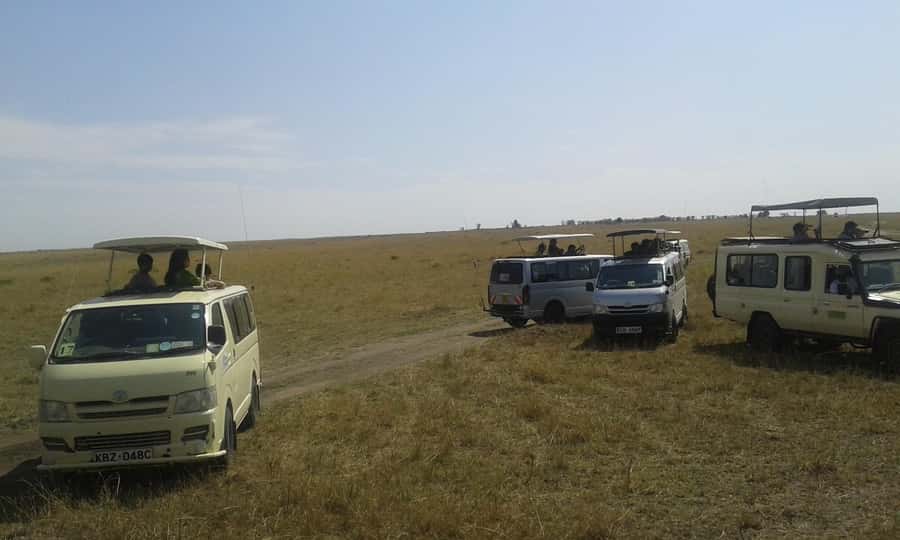 From Nairobi: 3 Days, 2 Nights Maasai Mara Group Safari - Maasai Mara in 3 Days: Why This Safari Feels Efficient