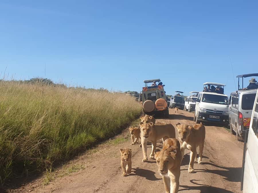 From Nairobi: 3 Days, 2 Nights Maasai Mara Group Safari - Nairobi Pickup at 8:00 AM and the Rift Valley View Break