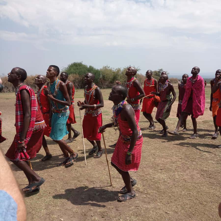 From Nairobi: 3 Days, 2 Nights Maasai Mara Group Safari - Price and Logistics: The Real Cost Picture for $199