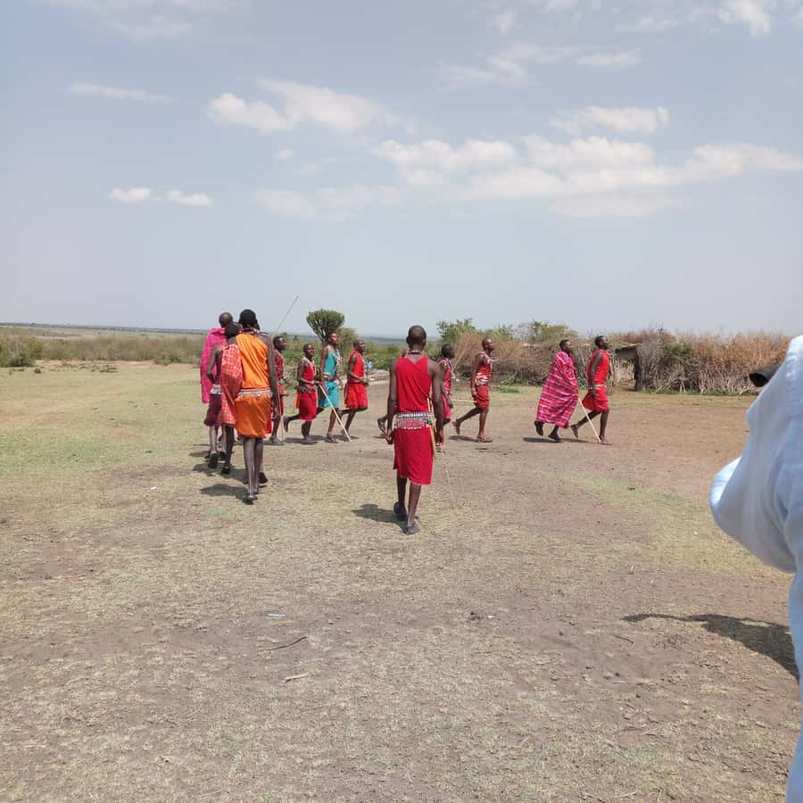From Nairobi: 3 Days, 2 Nights Maasai Mara Group Safari - Group Size, Seating, and What to Expect in the Vehicle