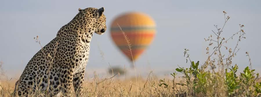 From Nairobi:3-Days 2-Nights Maasai Mara Group Safari in 4WD - Key things to know before you go