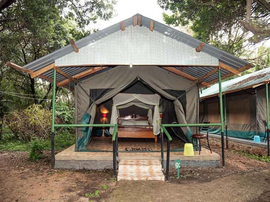 From Nairobi: 3 Days 2 Nights Masai Mara Group Safari - What can go wrong, and how to protect your safari experience