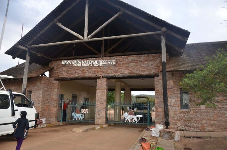 From Nairobi: 7 Days Masai Mara, Nakuru, and Amboseli Safari - Maasai Mara Full Day: Big Five Chances at the River