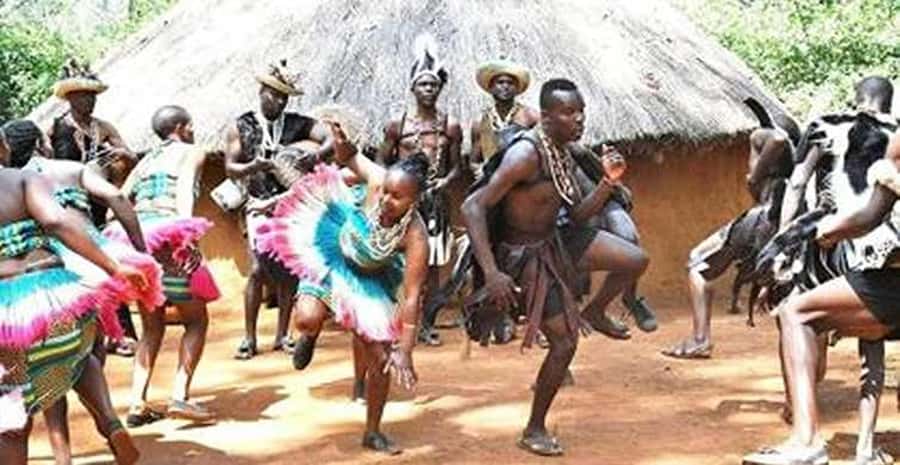 From Nairobi: Bomas of Kenya Cultural Dance Tour and Show. - Key highlights worth knowing
