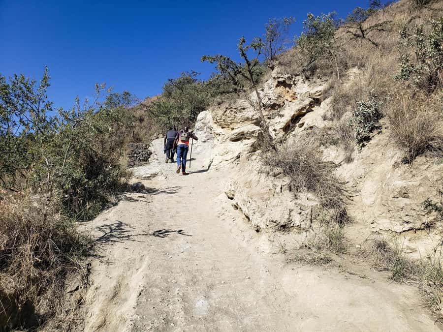 From Nairobi: Day Tour to Mount Longonot (Private) - Dropping into Mt Longonot National Park: the crater hike you actually feel