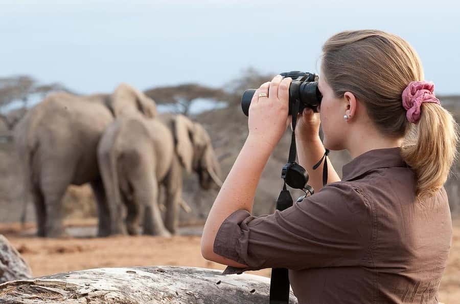 From Nairobi: Day Trip to Amboseli National Park - Why Amboseli makes a great one-day escape