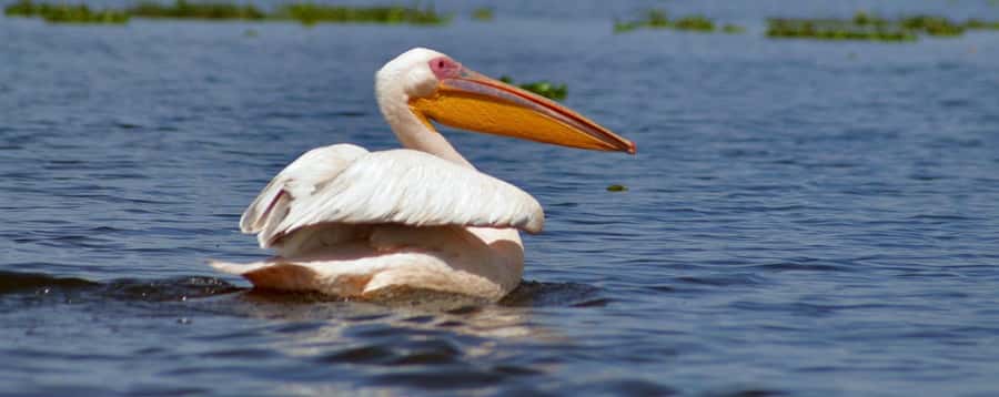 From Nairobi: Day Trip to Hells gate and Lake Naivasha - Why This Hell’s Gate and Naivasha Route Works So Well From Nairobi