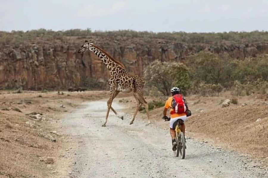 From Nairobi: Day Trip to Lake Naivasha and Hell's Gate - Hell’s Gate by bike: gazelles, zebras, and a park built for moving
