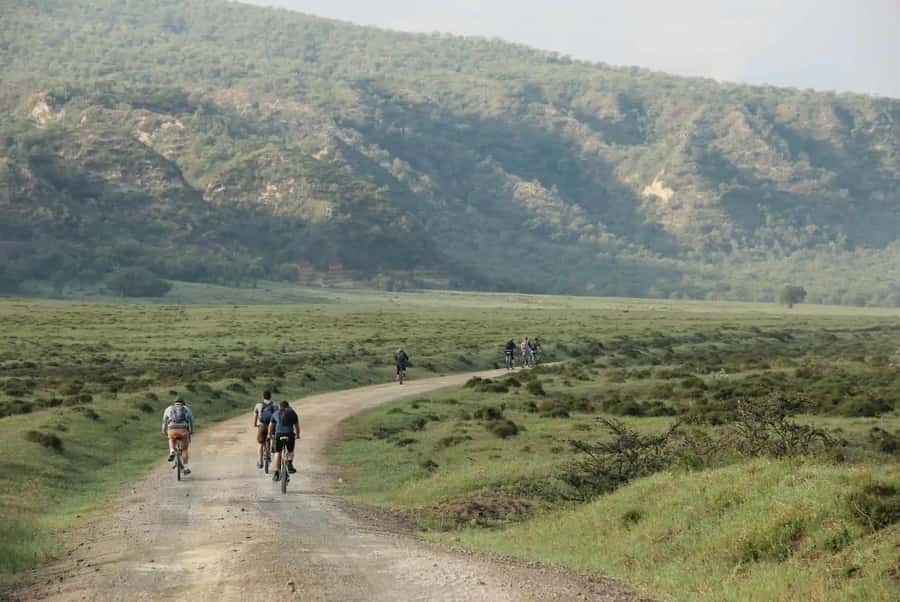 From Nairobi: Day Trip to Lake Naivasha and Hell's Gate - Boat rides again in the evening, then back to Nairobi