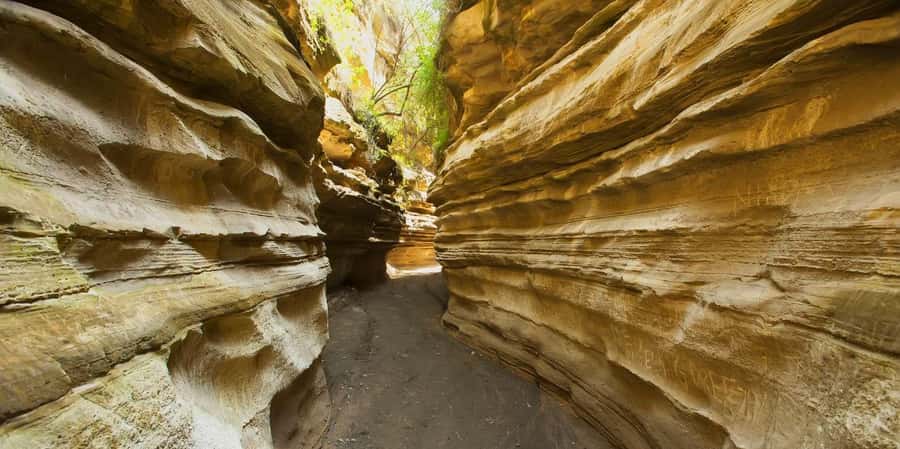 From Nairobi: Day Trip to Lake Naivasha and Hell's Gate - The 7:00 am Nairobi start, coffee stop, and Rift Valley photo breaks