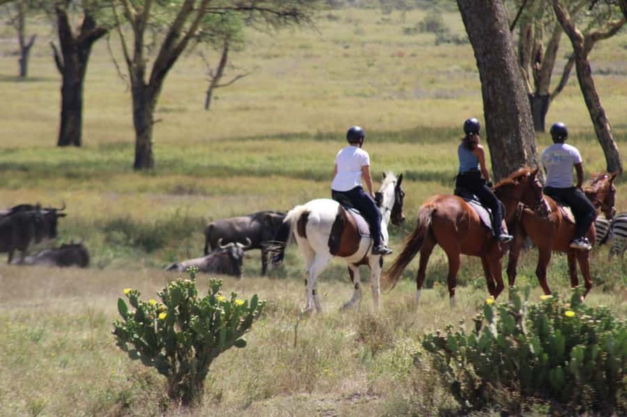 From Nairobi: Horseback Wildlife Safari with Transfer & Meal - Horseback Safari Near Nairobi: why this half-day escape feels different
