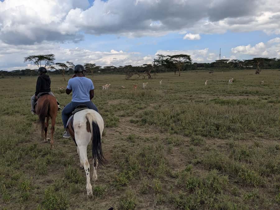 From Nairobi: Horseback Wildlife Safari with Transfer & Meal - The Nairobi pickup and the drive to Naivasha area
