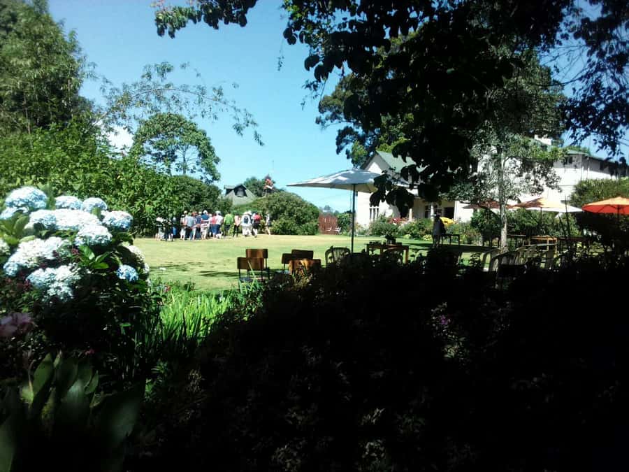 From Nairobi: Kiambethu Tea Farm Tour & Lunch - Kenyan Tea History and Tea-Making Process, Explained Clearly