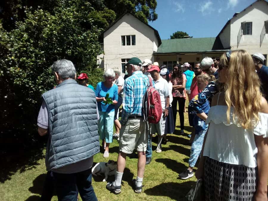 From Nairobi: Kiambethu Tea Farm Tour & Lunch - The 3-course Lunch and Afternoon Tea You Actually Look Forward To
