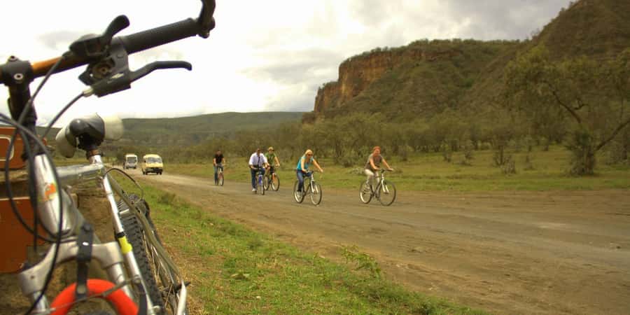 From Nairobi: Lake Naivasha and Hell's Gate Park Day Tour - Price and what you actually get for $280