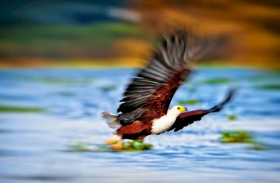 From Nairobi: Lake Naivasha and Hell's Gate Park Day Tour - Gorge walk and secret cave areas: where the park gets dramatic