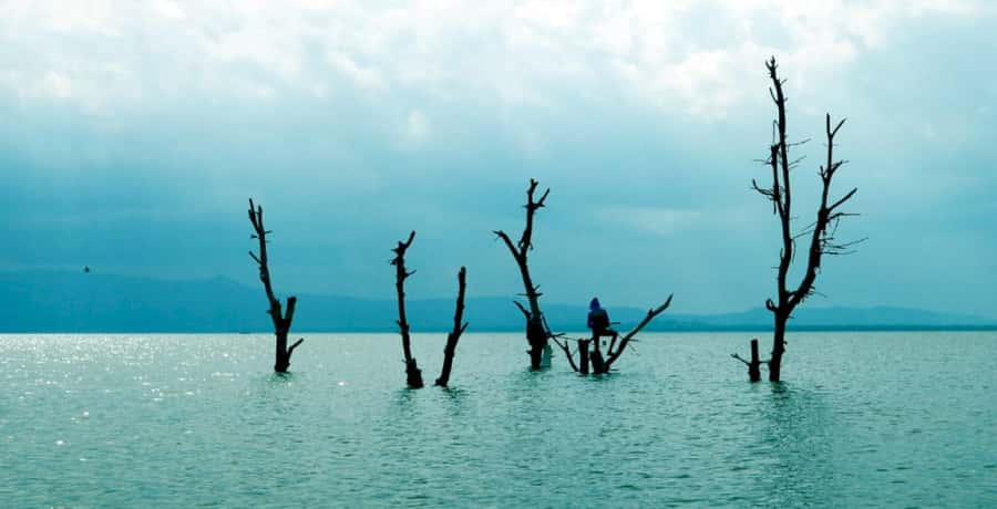 From Nairobi: Lake Naivasha and Hell's Gate Park Day Tour - Lake Naivasha boat ride: hippos, birds, and long-tail pacing