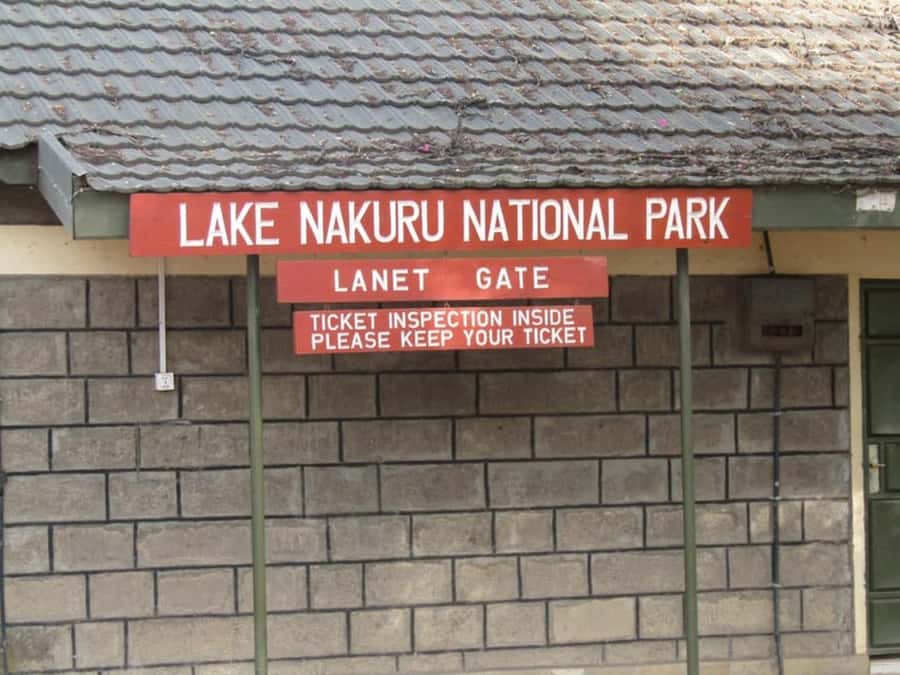 From Nairobi: Lake Nakuru National Park Full-Day Tour - Rhinos, Lions, Leopards, Hippos, and the Other Big Names