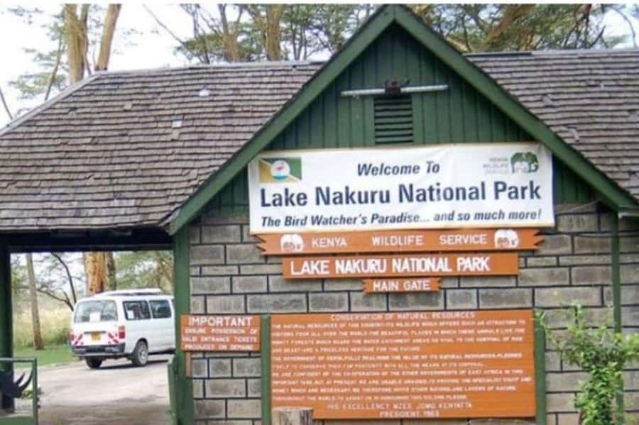 From Nairobi: Lake Nakuru National Park Full-Day Tour - The Great Rift Valley Viewpoint Stop, Quick Photos and Real Context