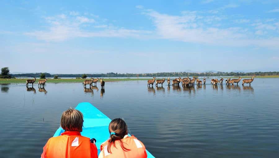 From Nairobi: Lakes Nakuru & Naivasha National Park Day Tour - Key highlights to know before you go
