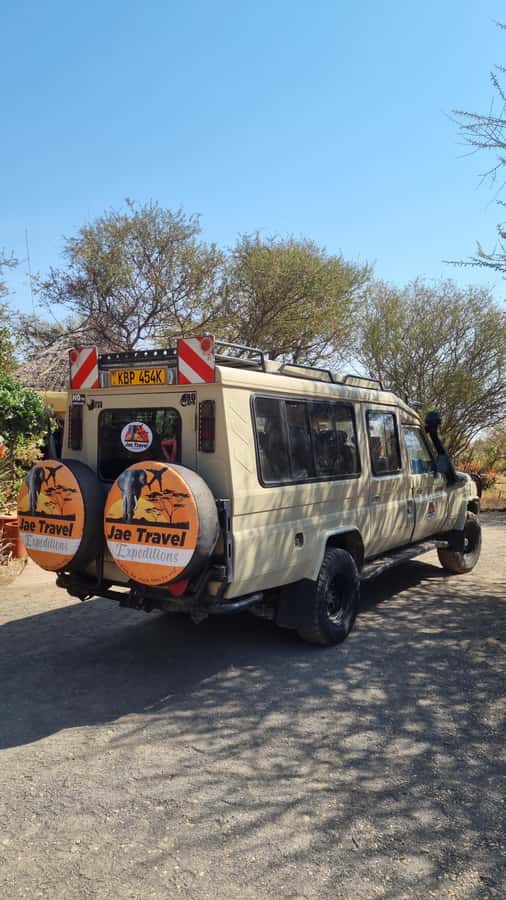 From Nairobi: Maasai Mara 1-Day Safari: AW, Lunch & Pickup - Morning game drive, chasing the Big Five in prime hours