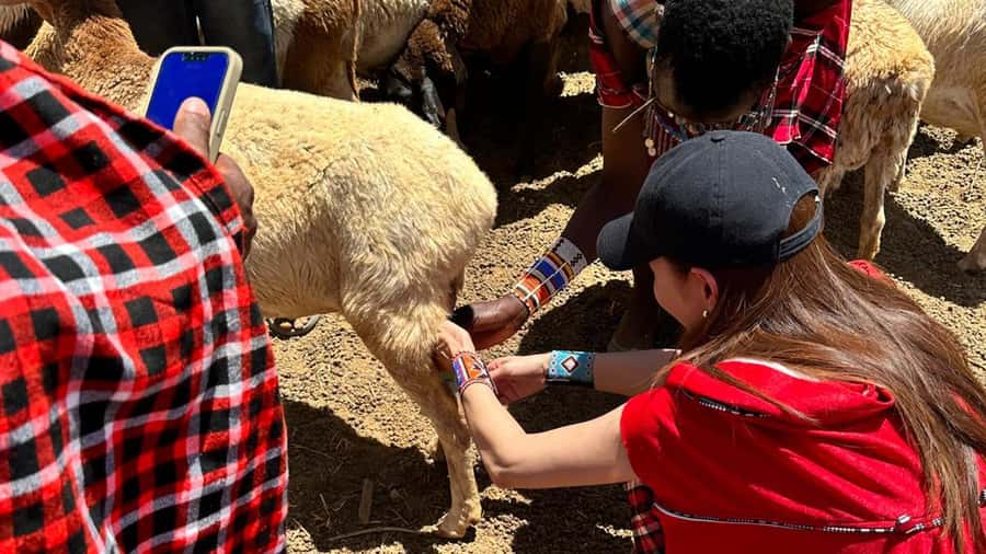 From Nairobi: Maasai Village Experience Day Tour - The livestock market day: what you get on Monday or Friday