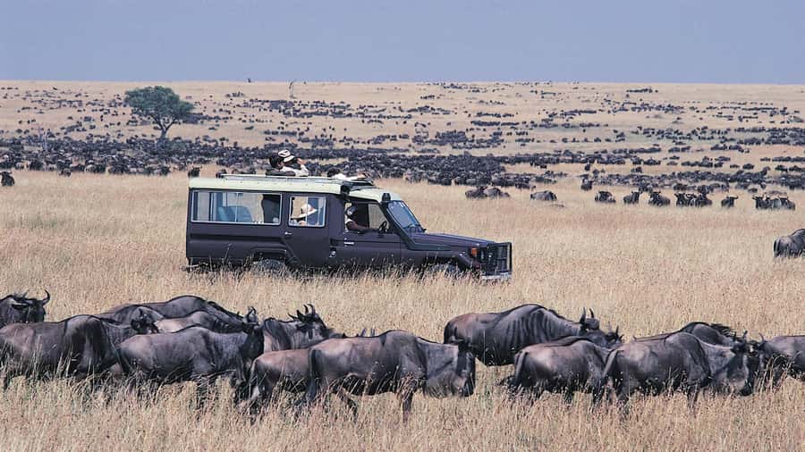 From Nairobi: Masai Mara 3-day Camping Safari by Jeep - Key points to know before you go