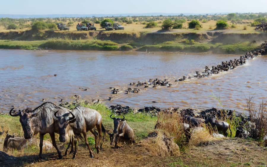 From Nairobi: Masai Mara 3-day Camping Safari by Jeep - Guide, group pace, and one risk worth addressing
