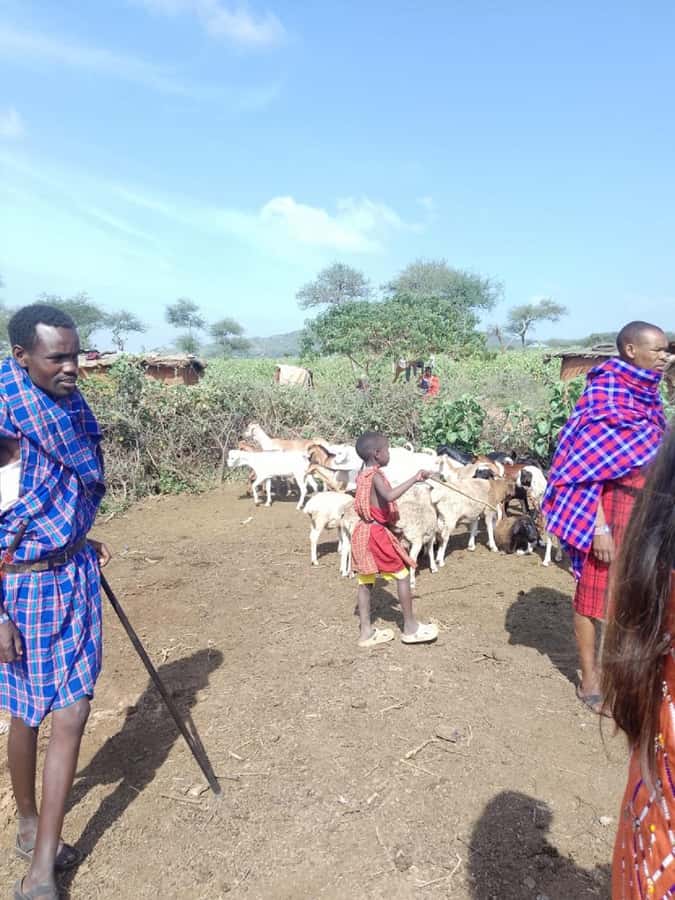 From Nairobi: Masai Tribe Village Visit - Singing and Jumping: The Performance That Feels Personal