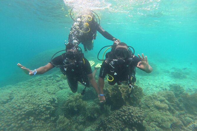 Full Day Dolphin Watching with Snorkeling in Wasini - The full-day flow from Diani Beach to Shimoni
