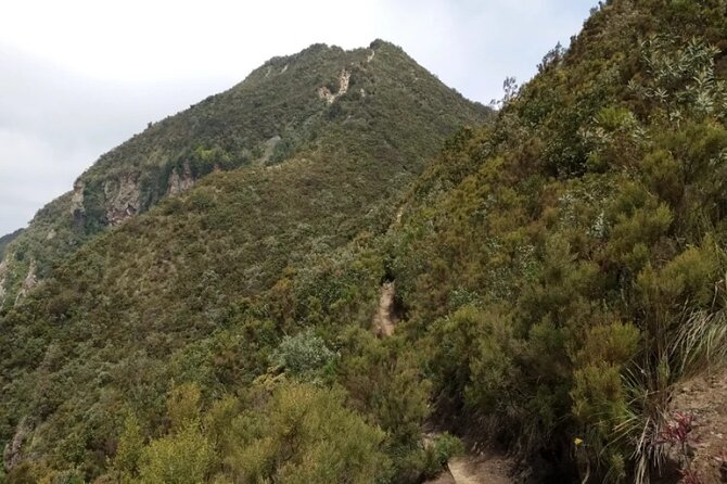 Full-Day Hiking Guided Adventure at Mount Longonot - Getting to the Trail: Hotel Pickup, Mobile Ticket, and What to Expect